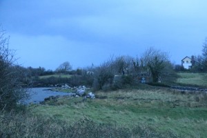 nature surrounding the castle   